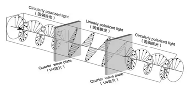 濾光片