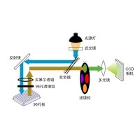 什么是熒光定量PCR、數(shù)字PCR？