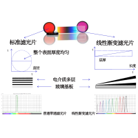 線性漸變?yōu)V光片是什么？有何特點？