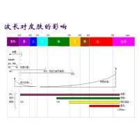 IPL技術原理特點及其應用